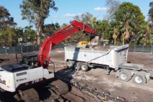 Subsurface Source Removal and Restoration