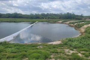 Stormwater Settling Pond Rehabilitation