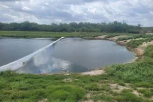 Stormwater Settling Pond Rehabilitation