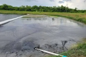 Stormwater Settling Pond Rehabilitation