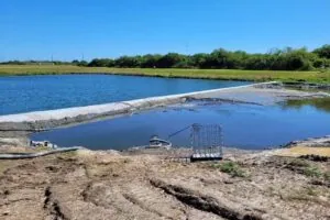 Stormwater Settling Pond Rehabilitation