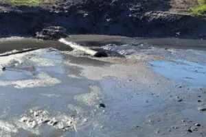 Stormwater Settling Pond Rehabilitation